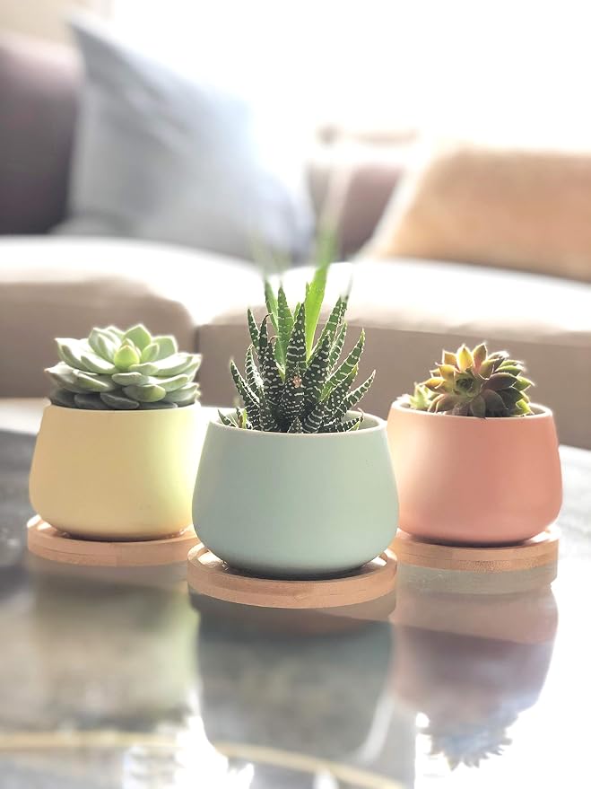 Assorted Blue Pink Yellow Round Ceramic Succulent Pots 3" Planters with Drainage | Bamboo Tray | 3 Pack