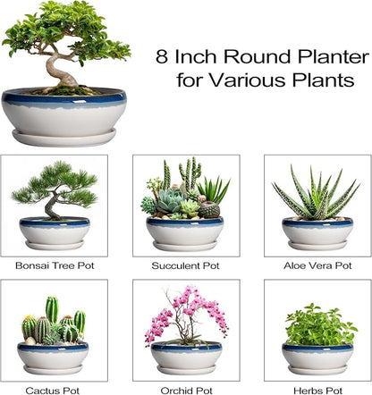 SQOWL Bonsai Pots Ceramic - 8 Inch Succulent Planters Indoor, Succulent Pot with Drainage Hole and Tray, Shallow Ceramic Plant Pot, Round Bowl Planter, Porch Decor, Gardening Gift, Blue Off-White