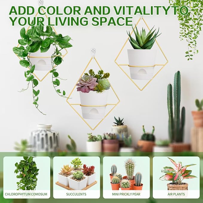 Koalaime 3 Sets Wall Planters for Indoor Plants Geometric Hanging Planters for Indoor Plants - Self-Watering Flower Pots with Black Metal Holder, Mounted Succulent Planter, 5" Black Plant Pot