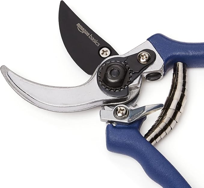 Amazon Basics Professional Bypass Pruning Shears, Garden Clippers, 8-inch Steel Hand Pruners, Rust Resistant with Ergonomic Non-Slip Grip for Trimming Plants and Cutting Flowers, Blue