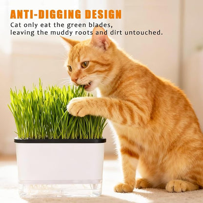 Self-Watering Cat Grass Planter (no Seeds Included) for Indoor Cats | Anti-Digging Design, Built-in Drainage Holes, Suitable for Various Soils, Wheat Grass Growing Pot for Cats Rabbits Pets