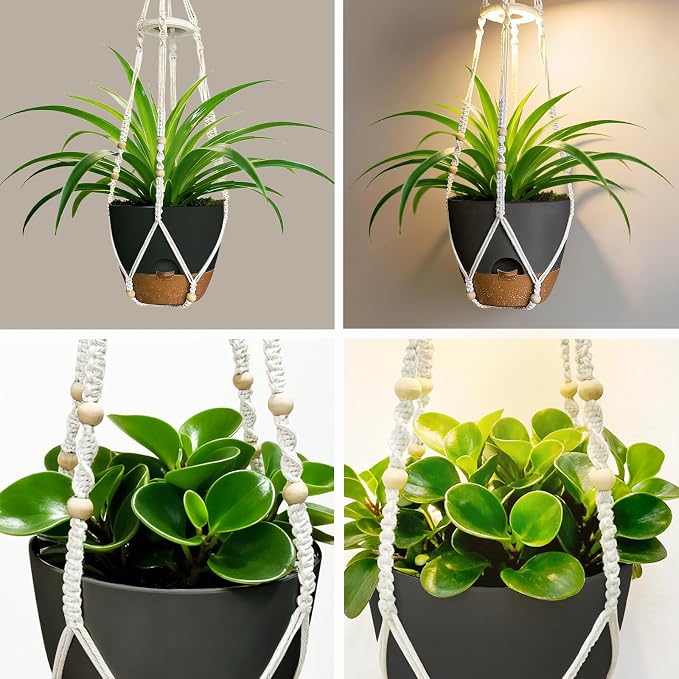 2 Pack Self Watering Hanging Planters with Grow Light for Indoor Plants | 10 Brightness, 3 Light Modes, 3/9/12H Timer, Built-In Reservoir, Drainage Holes, 10 in Pots