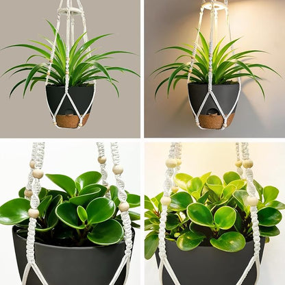 2 Pack Self Watering Hanging Planters with Grow Light for Indoor Plants | 10 Brightness, 3 Light Modes, 3/9/12H Timer, Built-In Reservoir, Drainage Holes, 10 in Pots