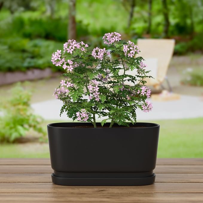 13" Rectangular Ceramic Planter with Drainage and Saucer, Black | Indoor Outdoor Use, 13"L x 5.5"W x 6.3"H, Modern Home Decor, Window Box Planter, Matte Black