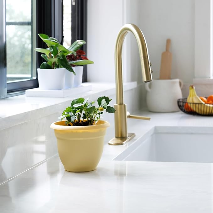 Bloem Ariana 6" Plastic Self-Watering Planter, Daffodil, 4-Pack | Self-watering disk at the bottom of each pot that acts as a water wick and reservoir for optimal plant health