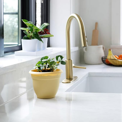 Bloem Ariana 8" Plastic Self-Watering Planter, Daffodil, 4-Pack | Self-watering disk at the bottom of each pot that acts as a water wick and reservoir for optimal plant health