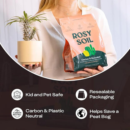 Rosy Soil Cactus & Succulent Potting Mix, 4 Quarts, Pack of 2 | Organic Succulent Potting Soil, Chunky Fast Draining, Peat-Free, Root Boosting Mix, For AloeVera, Cacti, Indoor Succulents