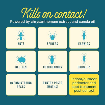 Sunday Bug Doom Home Insect Barrier Spray - Indoor Insect Spray with Botanically Derived Pyrethrin - Kills Ants, Spiders, Cockroaches & More - 16 Fl Oz