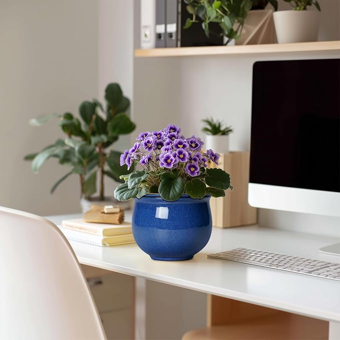 6 Inch Self Watering Pots, Ceramic African Violet Planter with Absorbent Inner Pot, Round Flower Pot for Indoor Plants, Ceramic Pots for Plants, Room Home Decor, Plant Lover Gifts, Blue
