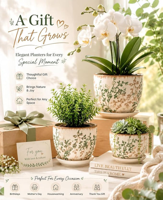 Ceramic Plant Pots, Nursery Pots with Drainage Hole, 3.5 Inch Succulent Pots for Plants, Small Indoor Flower Pots, Modern Decorative Planters for House Plants, Garden Planters, White Green