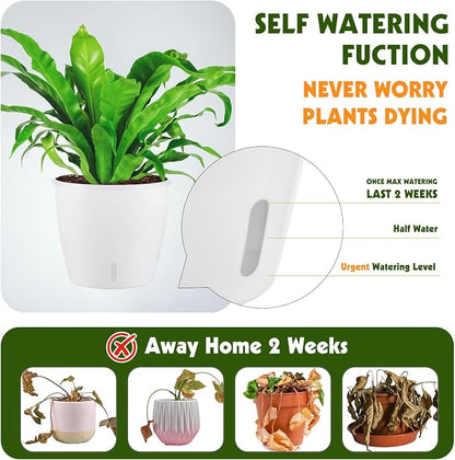 Self-Watering Pots for Indoor Plants, 16-Pack Self Watering Planter with Drainage Holes, Small African Violet Pots with Water Indicator, 10-Pack 5''/6-Pack 6.7'' Orchid Pot, White