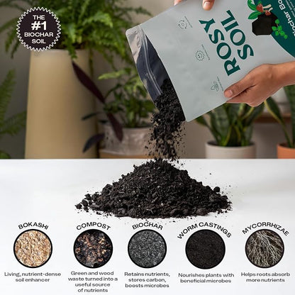 Rosy Soil Biochar Booster, Biochar Soil Amendment, 8 Quarts | Horticultural Charcoal, For Vegetable Gardens & Flowers, Outdoor & Indoor Plants, with Mycorrhizae, Worm Castings & Compost