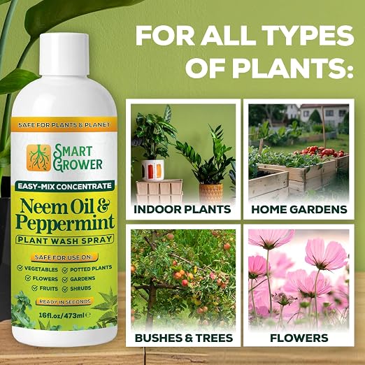Neem Oil Spray for Plants with Peppermint Oil – for Indoor & Outdoor Plants, Gardens, & Houseplants– Best Value Refill 16 oz Concentrate Makes 2 Gallon RTU