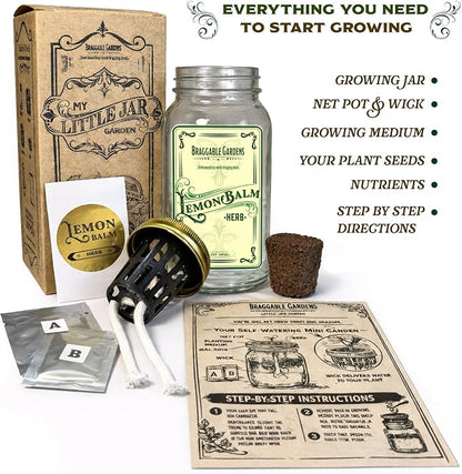Lemon Balm Indoor Herb Garden Kit – Mason Jar Hydroponic Grow Kit – Windowsill Countertop Herb Planter – Grow Fresh Lemon Balm Indoors