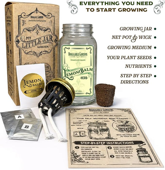 Lemon Balm Indoor Herb Garden Kit – Mason Jar Hydroponic Grow Kit – Windowsill Countertop Herb Planter – Grow Fresh Lemon Balm Indoors