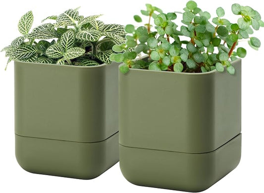 Phoenix Vine 4.5 Inch Wall Mounted Self-Watering Planter Pot for Indoor Houseplants and Herbs | Hanging Planter for Window Sills, Bathroom Walls, Home & Office Décor, Olive, Set of 2, 01-B-F-2