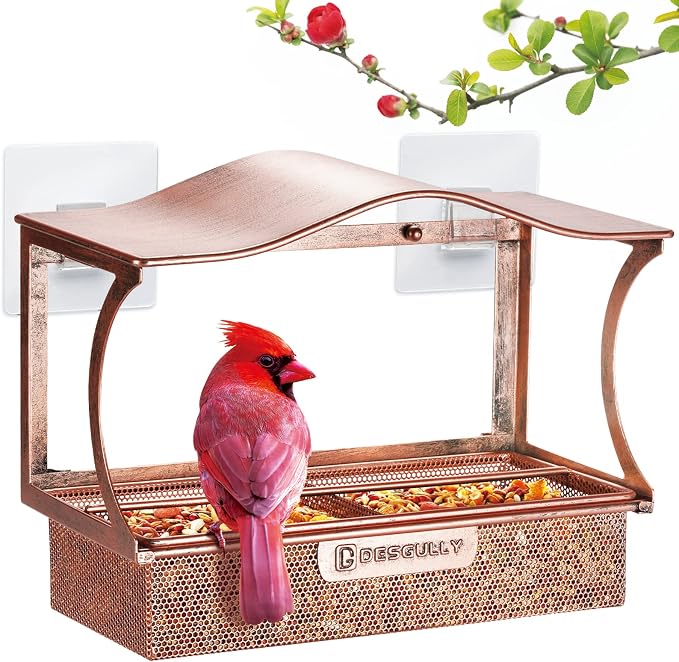 Window Bird Feeder, Metal - with Strong Suction Cups, Large Outdoor for Viewing Bird Watching Gift (Curved)
