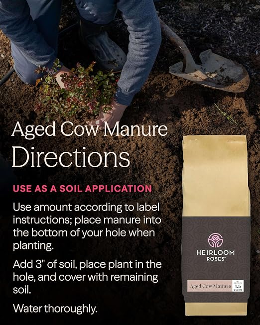 Heirloom Roses Mint Compost & Aged Cow Manure Bundle, 100% Natural Soil Amendments for Rose Planting, Enriched with Nitrogen & Micronutrients, Ideal for Garden Vegetables, Flowers & Soil, Bundle