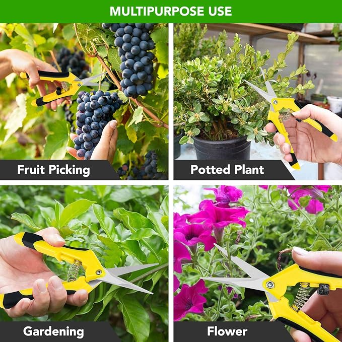 iPower 6.5 inch Pruning Shears for Gardening Trimming Scissors, Hand Pruner, Stainless Steel, Yellow