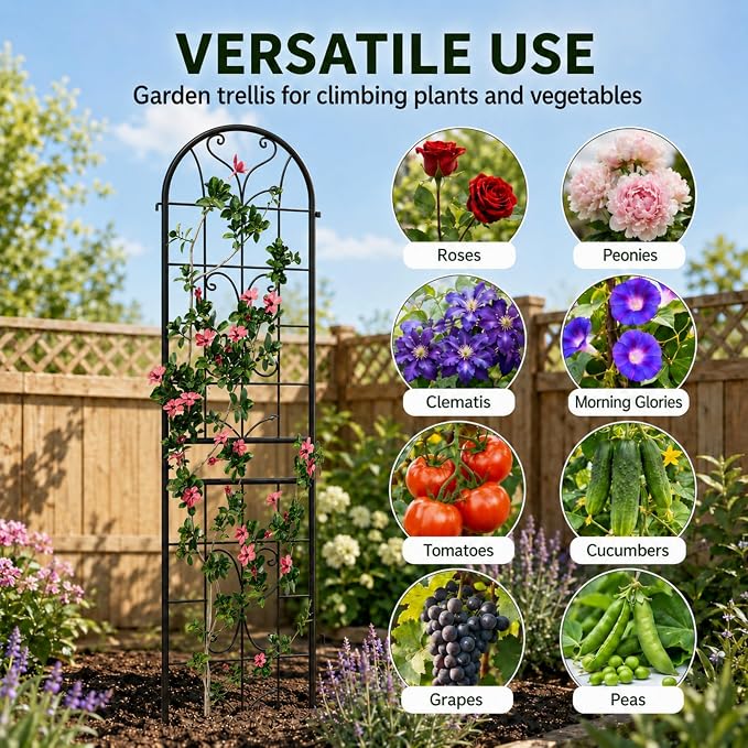 2-Pack 87" x 20" Ornate Scrollwork Arch Black Metal Garden Trellises | Set of 2 rust-resistant trellises with heart scrollwork, arched tops, stakes, and support for roses, vines, or vegetables