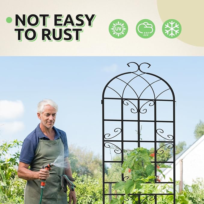 2-Pack 87" x 20" Black Metal Garden Trellises with Butterfly Design | Rust-resistant metal trellises with butterfly arches, scrollwork, spikes, and support for roses, vines, or vegetables
