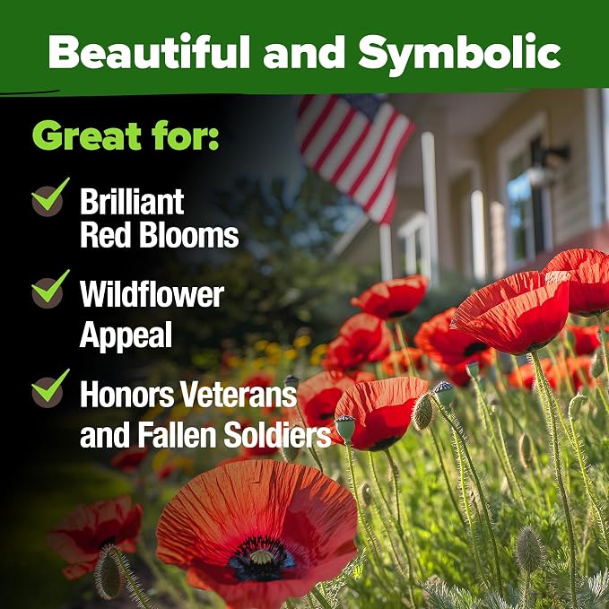 HOME GROWN American Legion Red Poppy Seeds - 6,000 Vibrant Wildflower Seeds for Planting Outdoors - Annual Poppy Flowers - Memorial Garden & Pollinator Friendly (Papaver rhoeas)