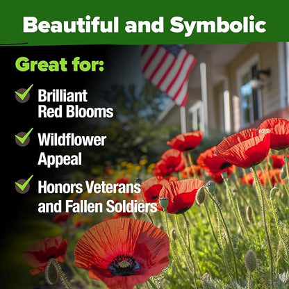 HOME GROWN American Legion Red Poppy Seeds - 6,000 Vibrant Wildflower Seeds for Planting Outdoors - Annual Poppy Flowers - Memorial Garden & Pollinator Friendly (Papaver rhoeas)
