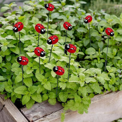 Garden Stakes Decor,10Pcs Garden Stakes Decorative Outdoor Lawn Pathway Patio Plant Pot Art Stick Yard Art Decorations for Pot Lawn Patio Corridor Flower Bed Outdoor Plant (Ladybug)