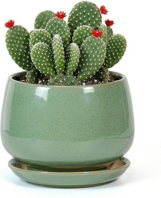 7.5 Inch Flower pots for Indoor Outdoor Plants with Saucer Drainage Leak-Proof Mesh, Ceramic Planter with Gardening Gloves for Succulent and Flower(Crackled Green)