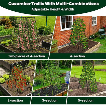 A-Frame Cucumber Trellis for Raised Bed, 50"x 16" Adjustable Heavy Duty Metal Garden Trellis for Climbing Plants Outdoor, Plant Support for Tomatoes Pea Bean Grape Vining Vegetables (2 Pack)