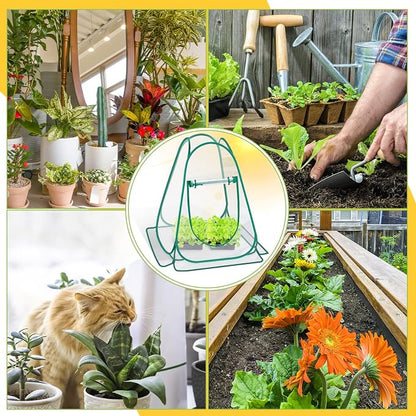 Pop Up Greenhouse Cover, Mini Greenhouse PVC Gardening Plant 3-Pack, Portable Small Green House for Indoor Outdoor, Sunshine Room Backyard Flow
