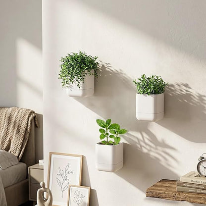 Phoenix Vine 3.5 Inch Wall Mounted Self-Watering Planter Pot for Indoor Houseplants and Herbs | Hanging Planter for Window Sills, Bathroom Walls, Home & Office Décor, Oatmeal, Set of 4, 01-A-G-4