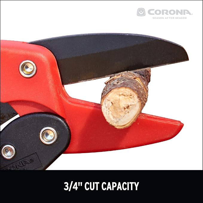 Corona RP 3230 Rachet Hand Pruner - 3/4 inch Cut Capacity Stem and Branch Garden Shears, Red (Pack of 6)