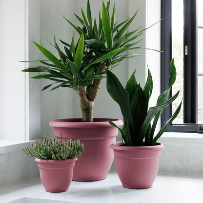 Bloem Ariana 8" Plastic Self-Watering Planter, Dusty Rose, 4-Pack | Self-watering disk at the bottom of each pot that acts as a water wick and reservoir for optimal plant health