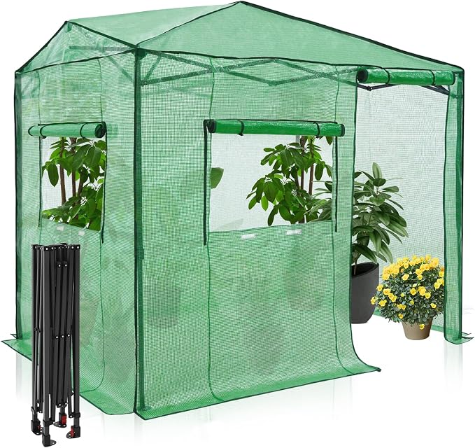 EAGLE PEAK 6x8 Portable Walk in Greenhouse, Pop Up Indoor Outdoor Greenhouse, Green House Kit with Zippered Roll-Up Doors and Windows, Side Door Design, PE Cover, Clear/Green