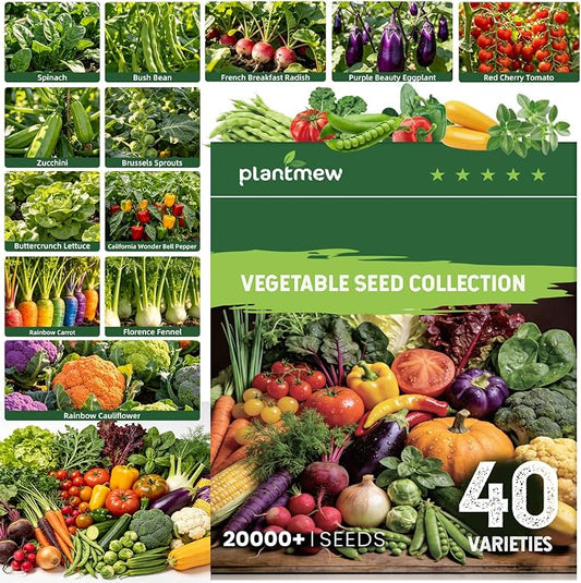 40 Vegetable & Herb Seeds Vault Kit with Sweet Basil, Cherry Tomato, Romaine Lettuce, 20,000+ Garden Seeds for Indoor Outdoor Planting