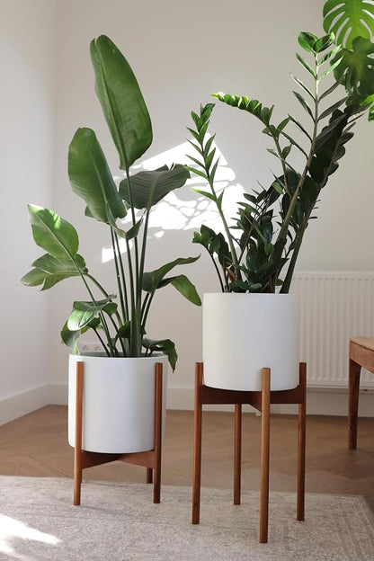 Fox & Fern Mid Century Plant Stand — 11.8 Inch Fixed Size Wooden Plant Stand for Indoor Planters (Not Included) - Large Flower Pot Holder for Indoor Big Pots - Plug In Design - Two Heights - Acacia