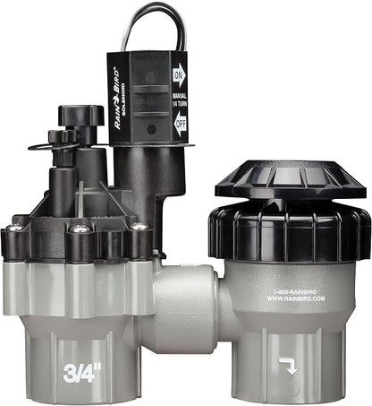 Rain Bird DASASVF075 Professional Grade Anti-Siphon Valve with Flow Control,3/4" Threaded Female x Female,(Pack of 5)