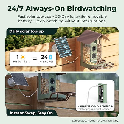 Kiwibit Smart Bird Feeder with 4K AI Camera Solar Powered, No Subscription | Lifetime AI Identification Bird Species, 4K Live Stream, 8MP Photos, Real-Time Bird Visit Alert, Backyard Birdwatching Gift