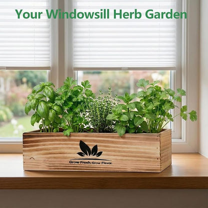 Indoor Herb Garden Starter Kit, Unique Gifts 5 Herb Garden Planter Indoor Kit with Wooden Box Including Basil, Cilantro, Thyme, Parsley, Mint, Fresh Herb Garden, Gardening Gifts for Women