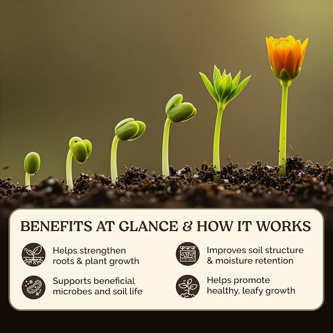 Garden Soil Supplement Mix, Potting Soil Outdoor Plants, Infused with Worm Castings & Vital Blend Activated Charcoal, All-Purpose Potting Soil for Vegetables and Plants, 10 lb Box