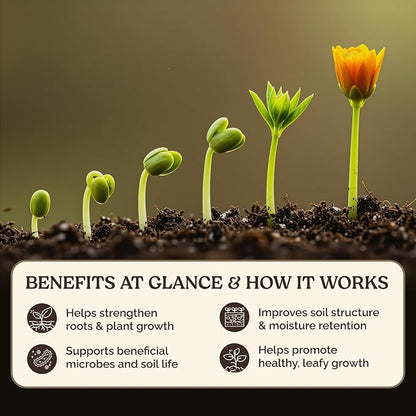 Garden Soil Supplement Mix, Potting Soil Outdoor Plants, Infused with Worm Castings & Vital Blend Activated Charcoal, All-Purpose Potting Soil for Vegetables and Plants, 10 lb Box