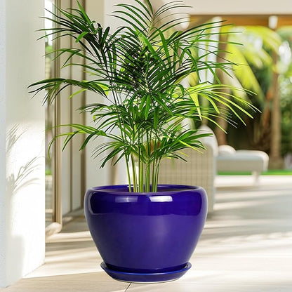 Ceramicfor Ceramic Planter 10 Inch - Indoor Plant Pot for Plants with Drainage Hole and Saucer Large Planter Round Outdoor Flower Pot Mid-Century for House Patio Decor Blue