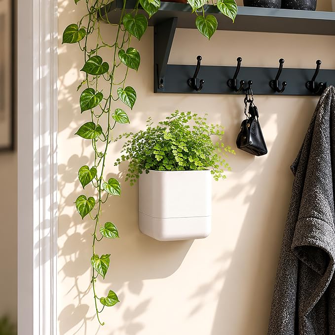 Phoenix Vine 4.5 Inch Wall Mounted Self-Watering Planter Pot for Indoor Houseplants and Herbs | Hanging Planter for Window Sills, Bathroom Walls, Home & Office Décor, Oatmeal, Set of 2, 01-B-G-2