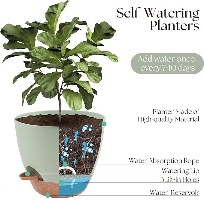 TYMENSH Plant Pots 12/10/9 Inch Set of 3, Self Watering Planters with Drainage Holes and Water Reservoir, Heavy Duty Plastic Flower Pots for Indoor Outdoor Plants, Green