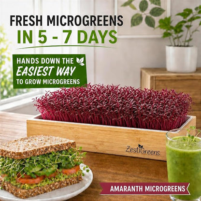 Self Watering Microgreens Growing Kit. Hands Down the Easiest Way to Grow Microgreens. Includes Tray, Seeds, Mats, and Bamboo Surround. Great Gift for Gardeners
