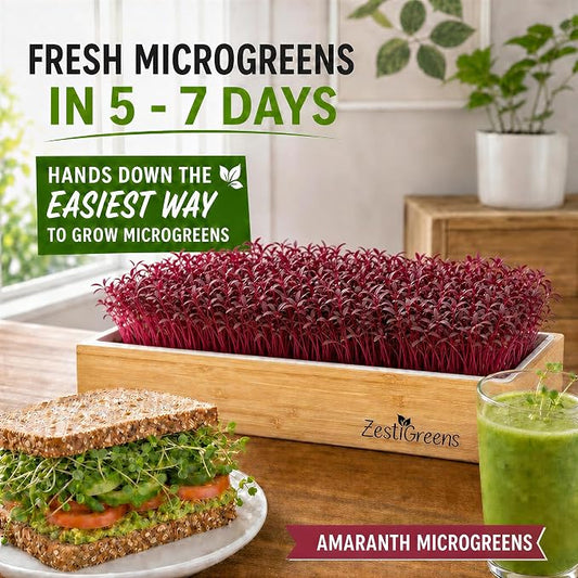 Self Watering Microgreens Growing Kit. Hands Down the Easiest Way to Grow Microgreens. Includes Tray, Seeds, Mats, and Bamboo Surround. Great Gift for Gardeners