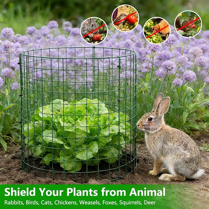 6 Pack 12x14 Inch Plant Protector from Animals, Wire Plant Cages Mesh Garden Plant Protector, Sturdy Wire Cloche Plant Protectors for Keeping Animals Bunny Chicken Squirrels Out
