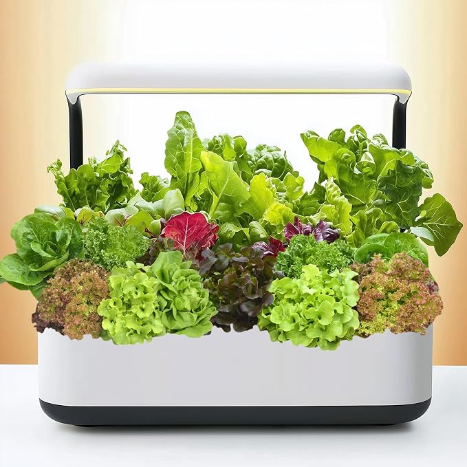 20,000+ Lettuce Seeds, Heirloom Vegetable Seed for Planting Indoor Outdoor, 10 Varieties of Fresh Salad Greens for Hydroponics Kit, Easy to Grow for Garden Beginners, Non-GMO