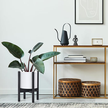 D'vine Dev Plastic Pot with Ebony Wood Stand, White, 8 in, 55-C-K-1 | Mid-Century Inspired Design, Elevated Plant Display, Clean Lines, Sturdy Support, Modern Space-Saving Style